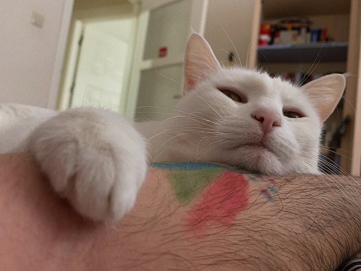 Me       /         My therapist