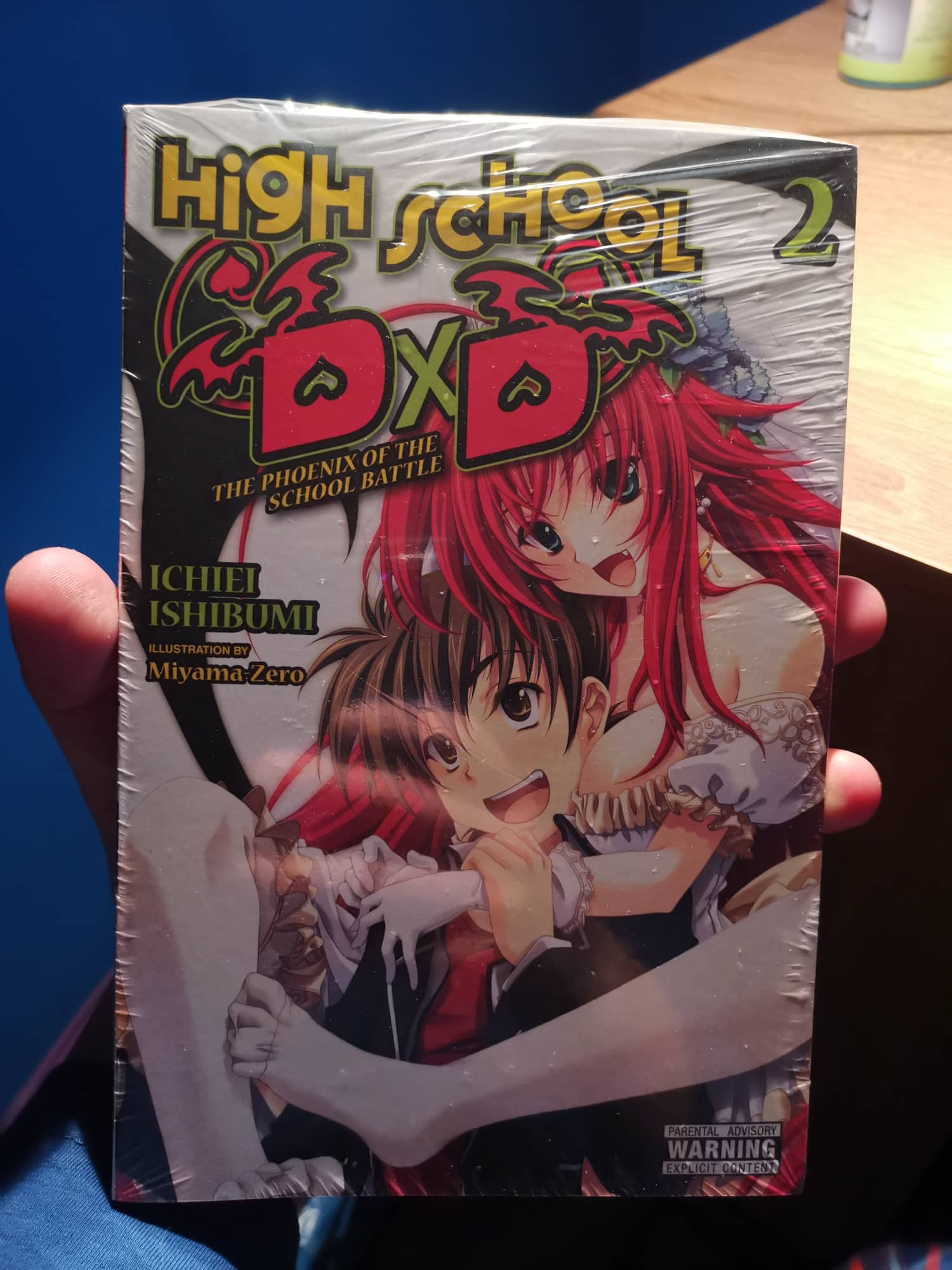 High School DxD, Vol. 2 (light novel): The Phoenix of the School  Battle|Paperback