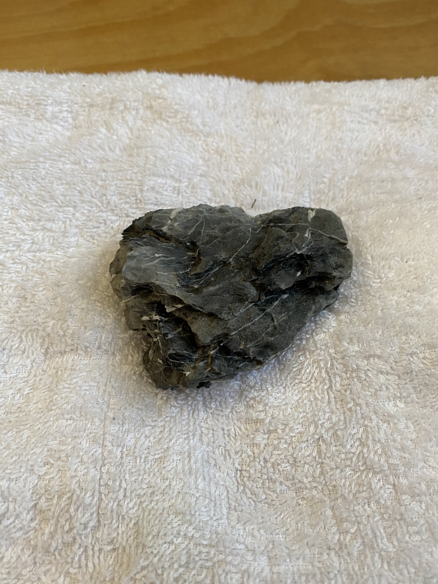 Youas ゆーあす Youas Twitter