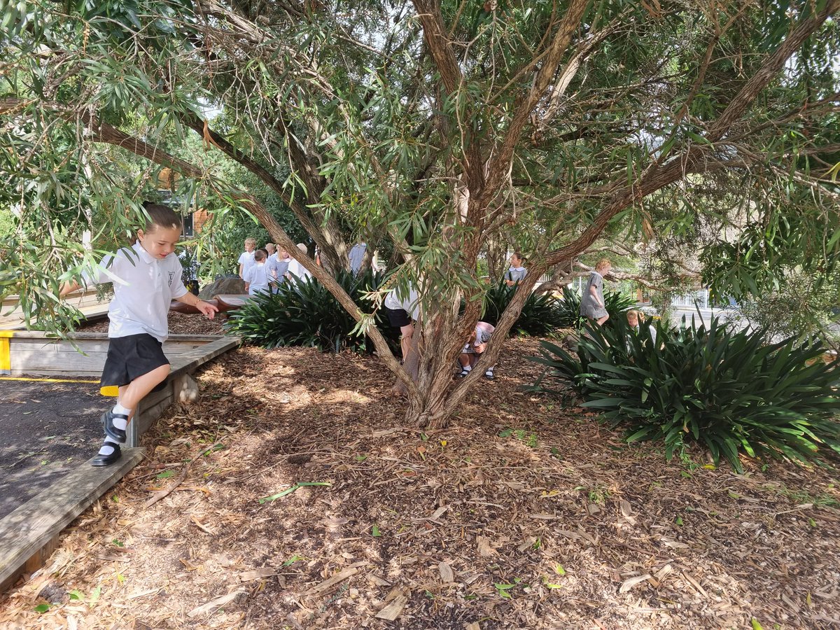 When we are outside we do lots of learning!! Kinder are learning the sound, 'l'. "L is for learning and love and laugh!!"  #walkingcurriculum <a href="/SarahJaneSteel4/">Sarah Jane Steele</a> <a href="/vickianne2905/">vicki stokes</a> <a href="/perfinker/">Gillian Judson, PhD</a>