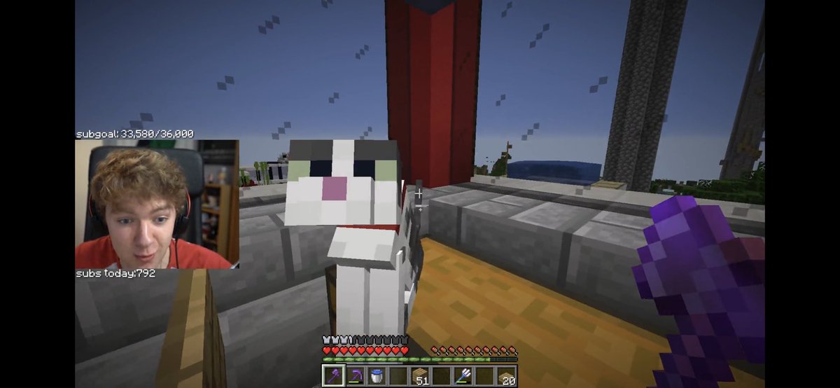 PlNKW00L's tweet image. i dont think he likes cats /hj