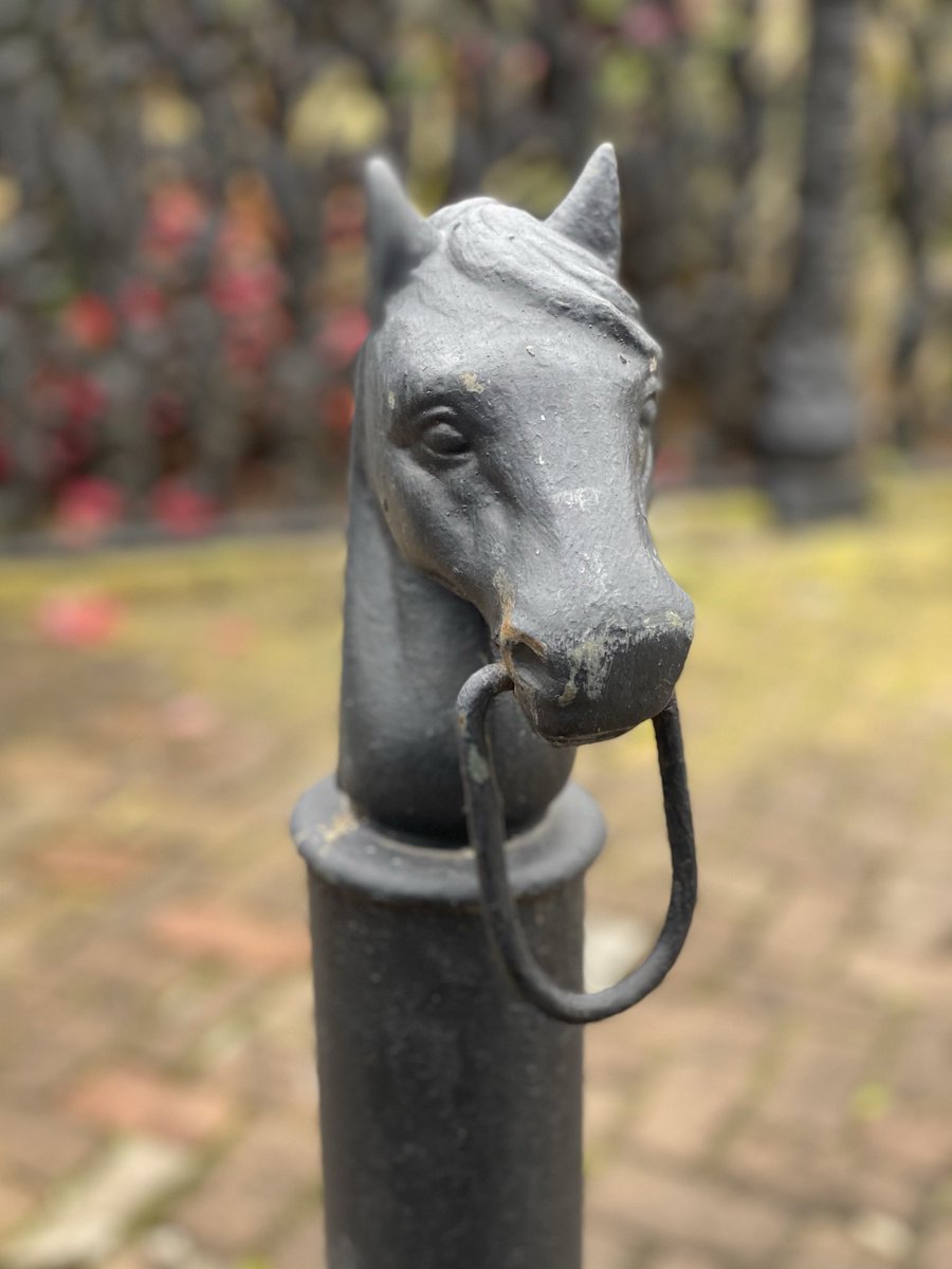 I love the architecture in New Orleans. The details are amazing.I even found my new house! Just have to get rid of the current occupants first (shh).