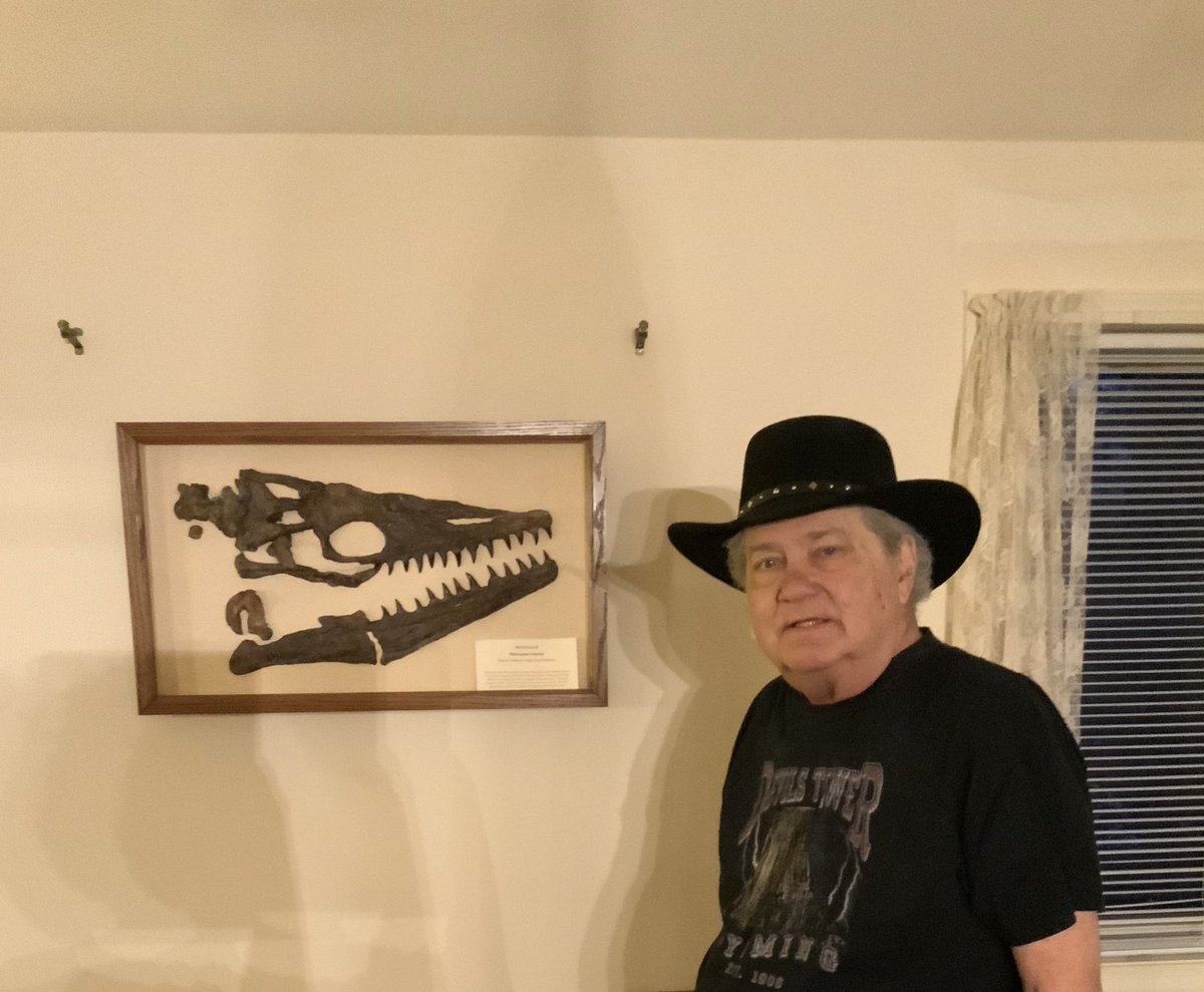 Dipleura tweet media