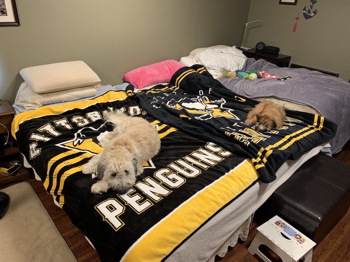I need a pens blanket that’ll fit my bed. Any suggestions where I can find one <a href="/penguins/">Pittsburgh Penguins</a>