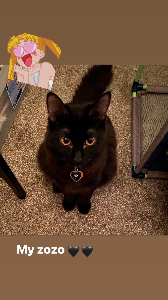ComoChingan3's tweet photo. Zodiac wants to know if you heard her on our first episode.. she’s ready for stardom! #comochinganpodcast #podcasts #CatsOfTwitter https://t.co/7hUo14besX