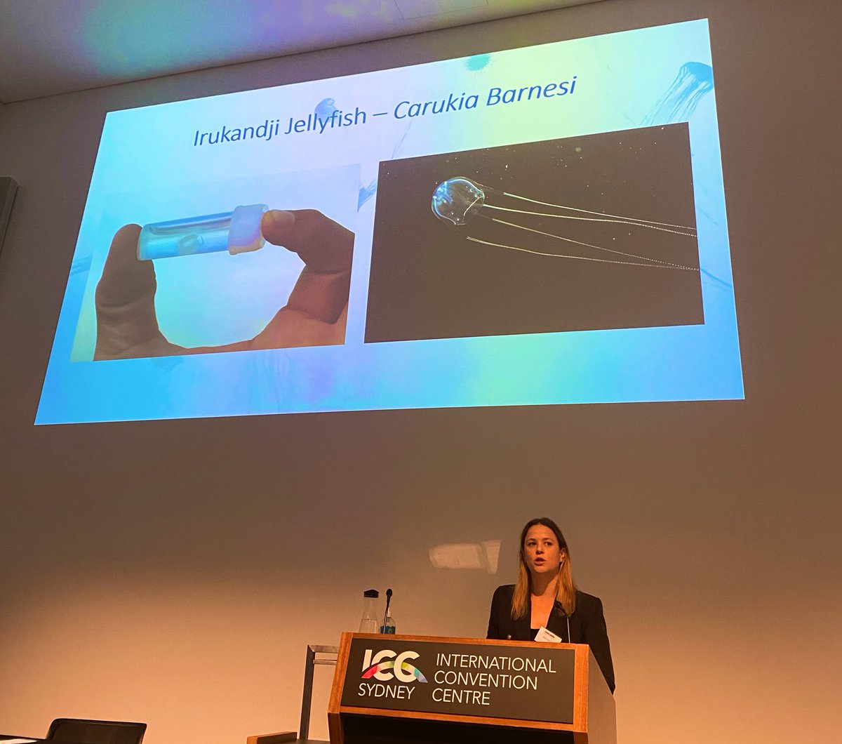 #codazero Don’t be jelly... Listening to Irukanji Syndrome expertise from <a href="/youngaliceyoung/">Alice Young</a>