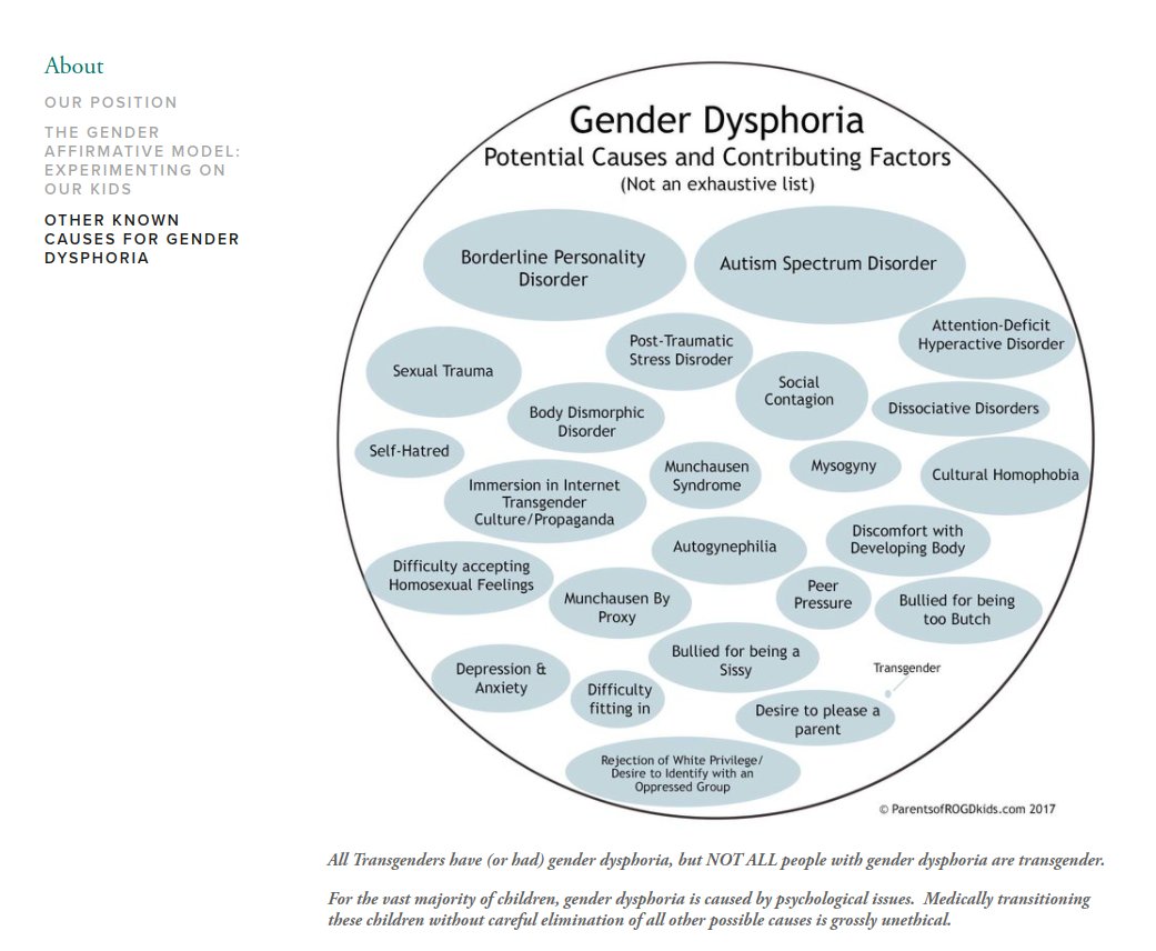 a graphic of a Venn like circle with text inside, labelled "other causes of gender dysphoria"
Text inside circle reads:

Borderline Personality Disorder.
Autism Spectrum Disorder.
Sexual Trauma.
Post traumatic stress disorder.
attention deficit hyperactive disorder. 
self hatred.
body dismorphic disorder.
social contagion.
dissociative disorders.
immersion in internet transgender culture/propaganda.
munchausen syndrome.
misogyny.
cultural homophobia.
difficulty accepting homosexual feelings.
autogynephilia.
discomfort with developing body. 
munchausen by proxy.
peer pressure.
bullied for being too butch.
depression & anxiety.
bullied for being a sissy.
difficulty fitting in.
desire to please a parent.
rejection of white privilege.
desire to identify with an oppressed group.
(end)