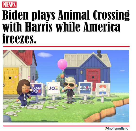inohsmellsno's tweet photo. @MrMannyUSA @JoeBiden Apparently, he plays Animal Crossing too https://t.co/tglsCvbX6n