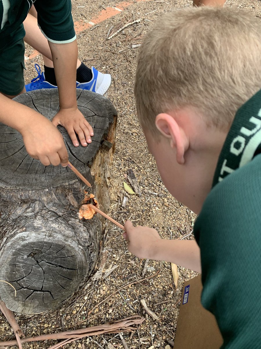 1/2 Thrive tweet media