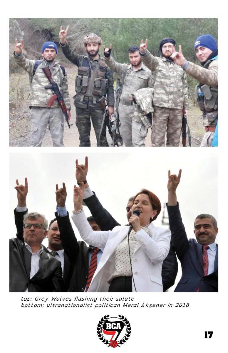 The Grey Wolves, Turkey's ultranationalist paramilitary forcesPart (5/7)