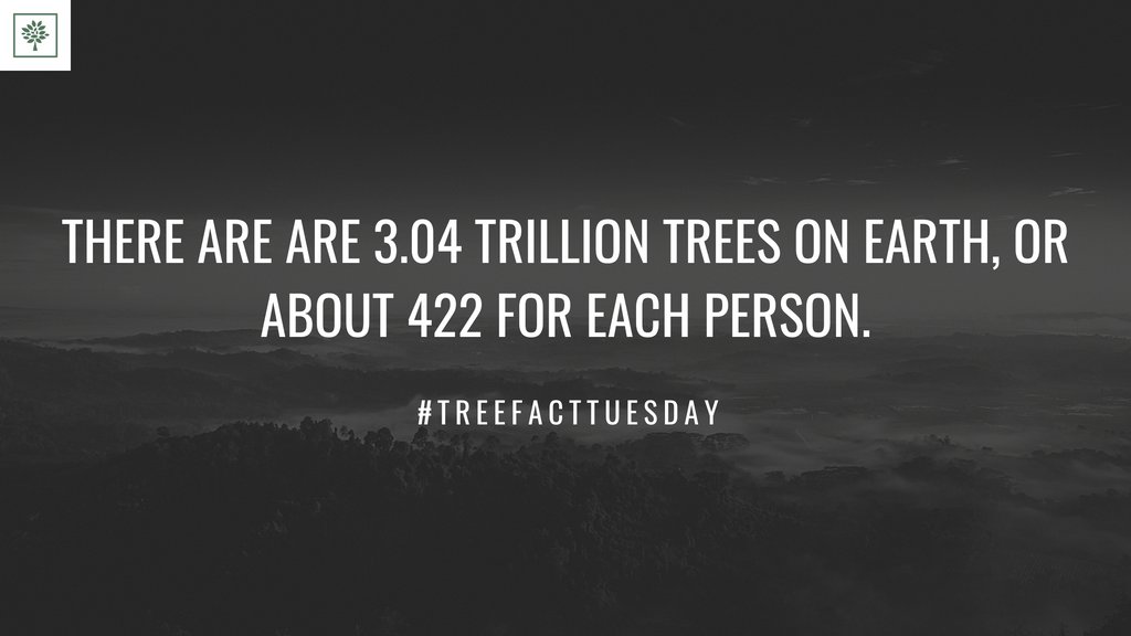 TreesForBooks's tweet image. #treesforbooks #treefacttuesday