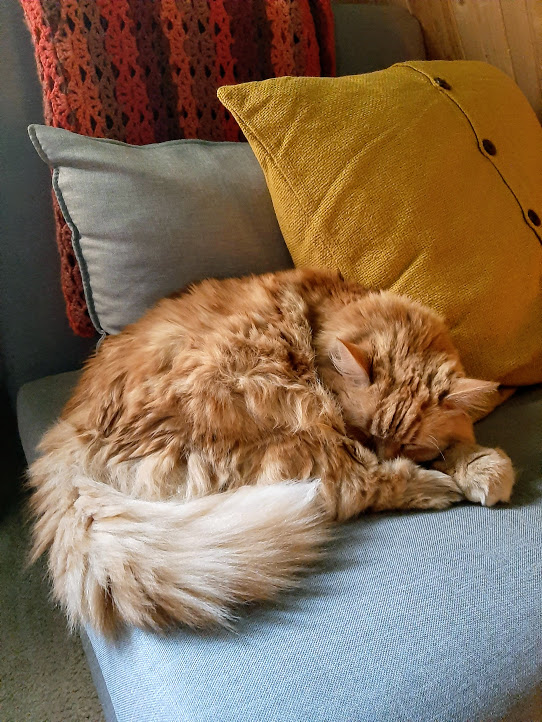 Alley Cat sends love and peaceful vibes 