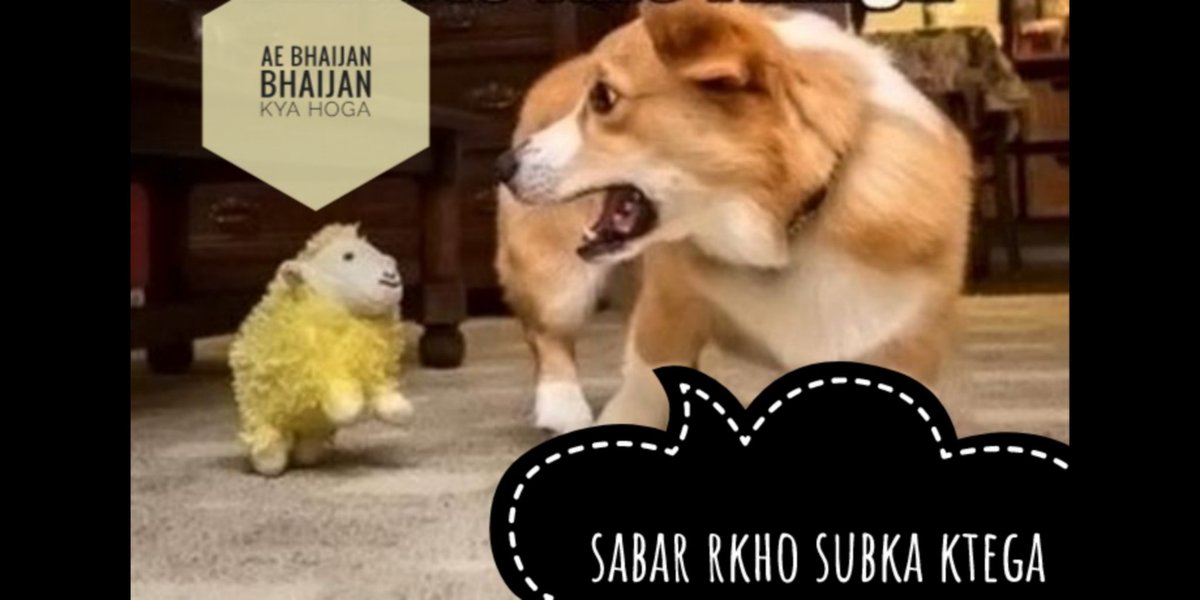 _Samir_sinh_'s tweet photo. Me' and my friends by buying
Dogecoin #dogecoin #cryptocurrencies  #dogedown https://t.co/My5oYATlan
