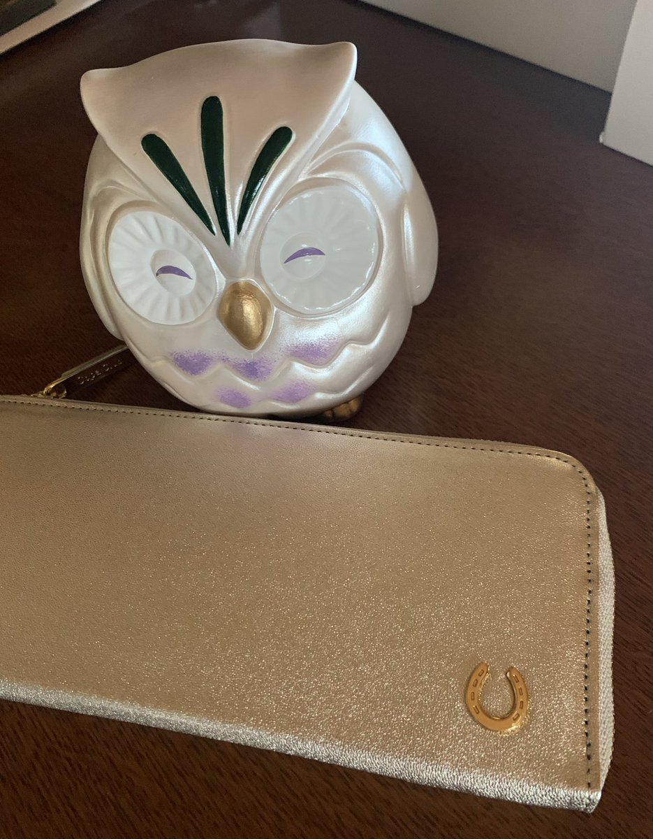 Dr Copa 運とお金を貯める風水開運術 銀座コパショップで 山羊革のゴールドの長財布 フクロウの貯金箱 茶色のベルトを購入 今日使い始めます