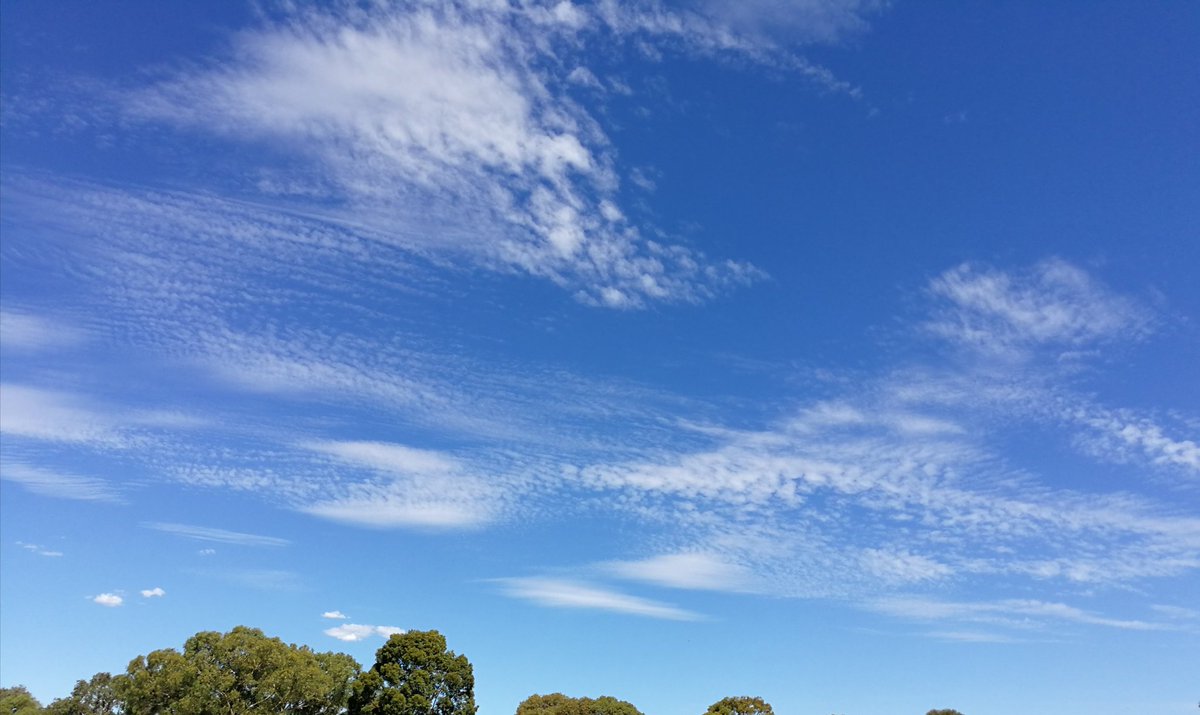 DrJeffreyGil's tweet photo. Beautiful blue sky on a very hot Adelaide day
#AdelaideHeatWave https://t.co/ZMQVjL5Lfr