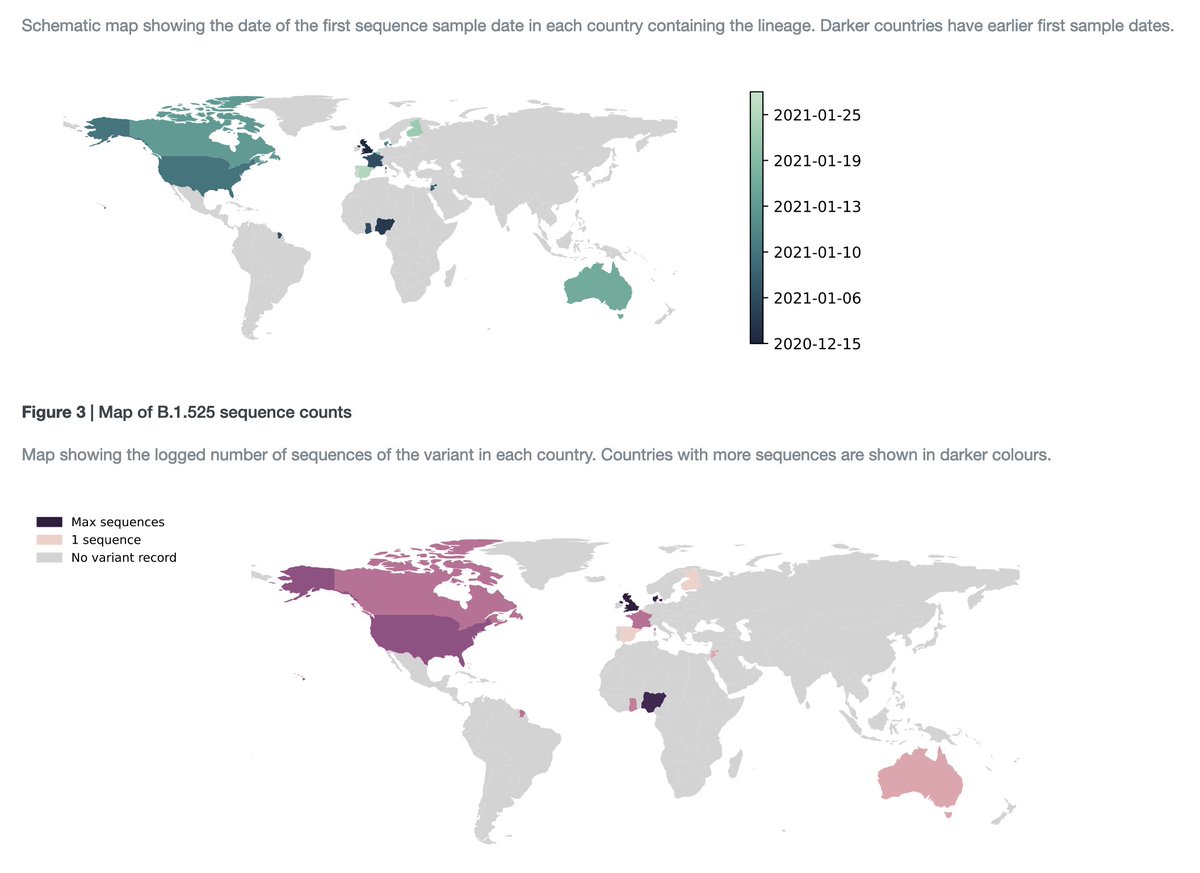 A rather new  #SARSCoV2 variant B.1.525 has been identified in some countries, e.g. England & the U.S.Id dates in photo below from  https://cov-lineages.org/global_report_B.1.525.html.There is however no evidence so far that it causes increased transmission or disease severity. https://www.reuters.com/article/us-health-coronavirus-britain-variants/english-health-authority-says-38-cases-of-new-covid-variant-found-idUSKBN2AG1U7
