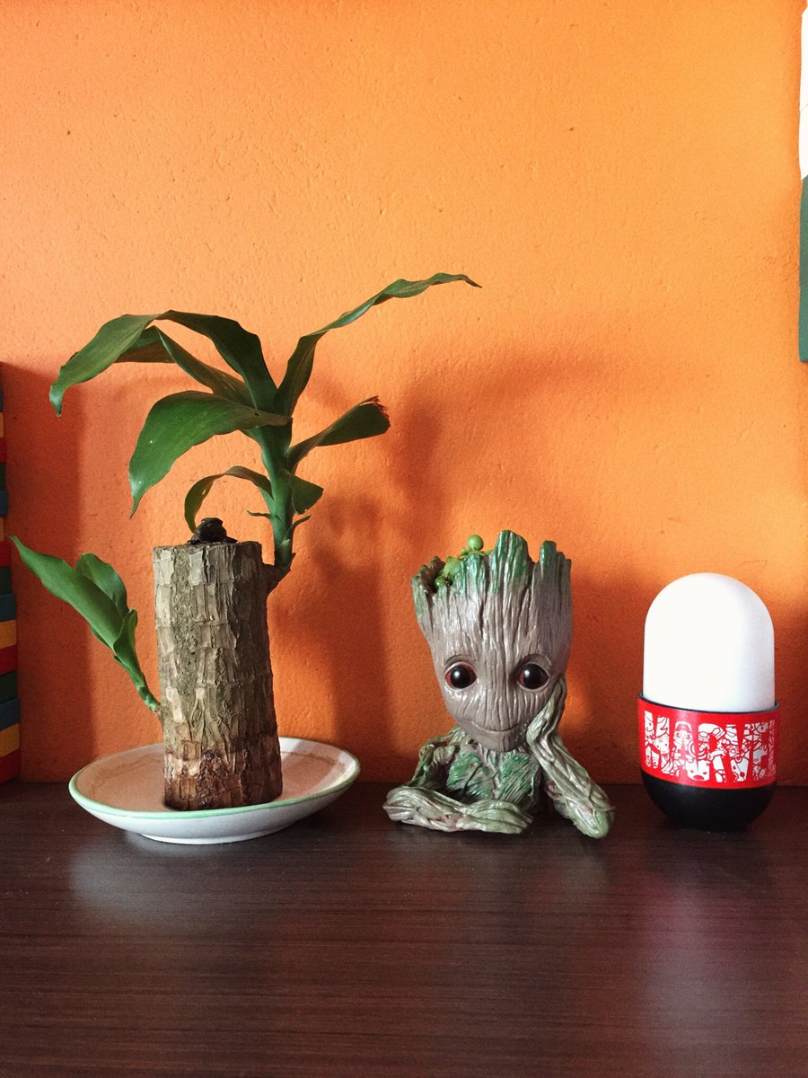 suyesssh's tweet image. Before     -      After

#StringOfPearls