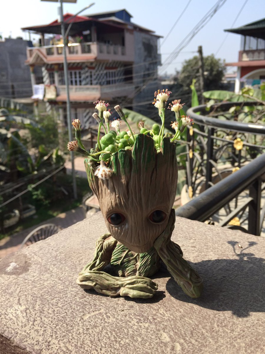 suyesssh's tweet image. Before     -      After

#StringOfPearls