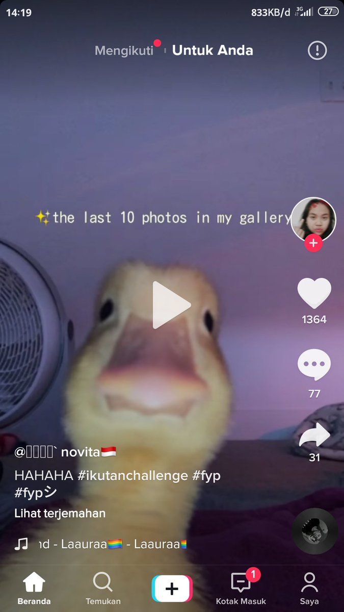 Meital051's tweet photo. @subtanyarl Gambar bebek aja sih https://t.co/nbc5BHgtJn