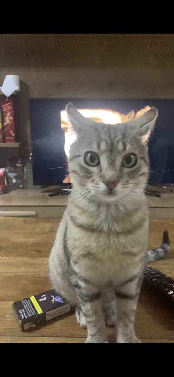 Amerikan başkanı dahil herkesi devreye sokun