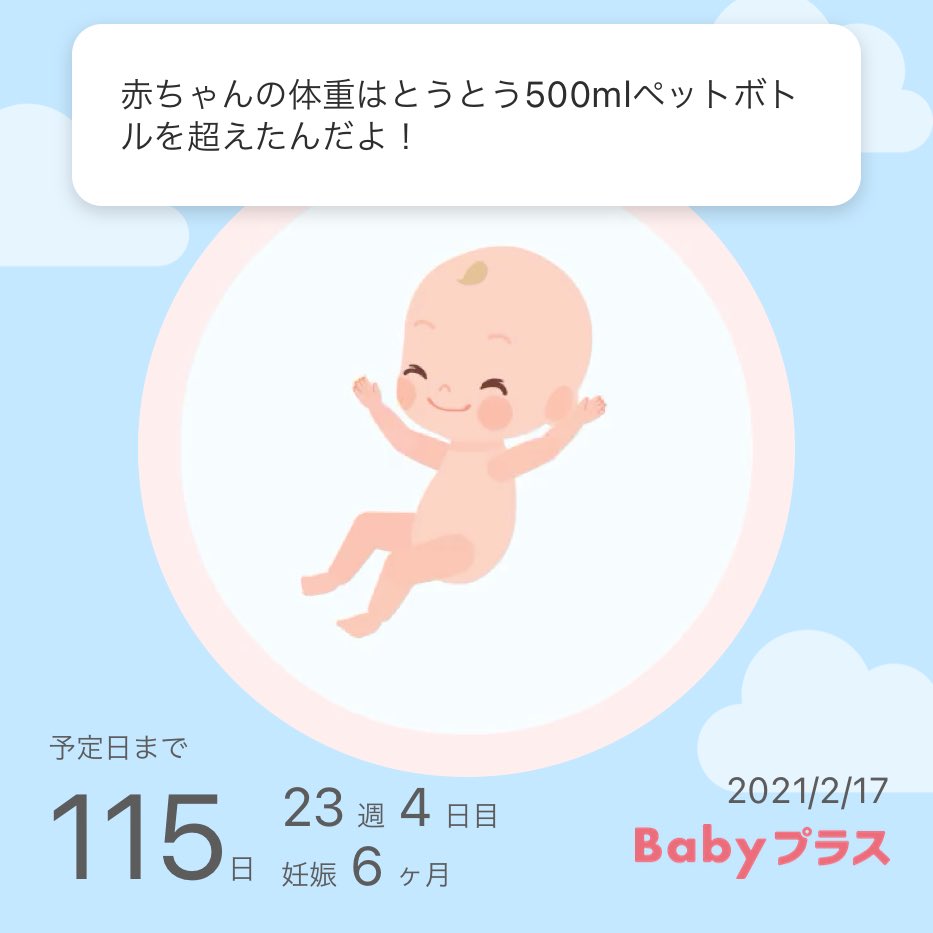 妊娠23週 妊娠23週