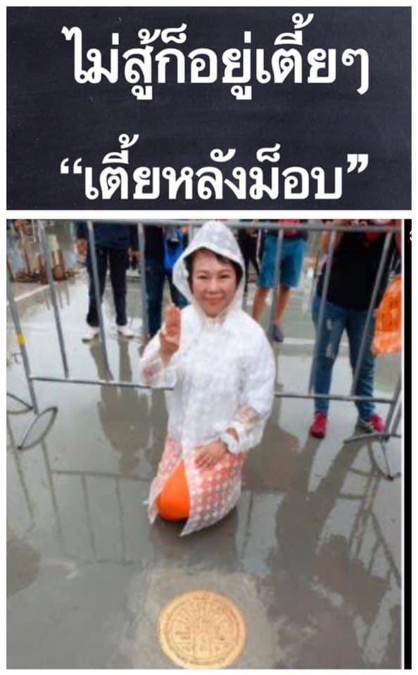 เฮฮา พาเพลิน tweet media