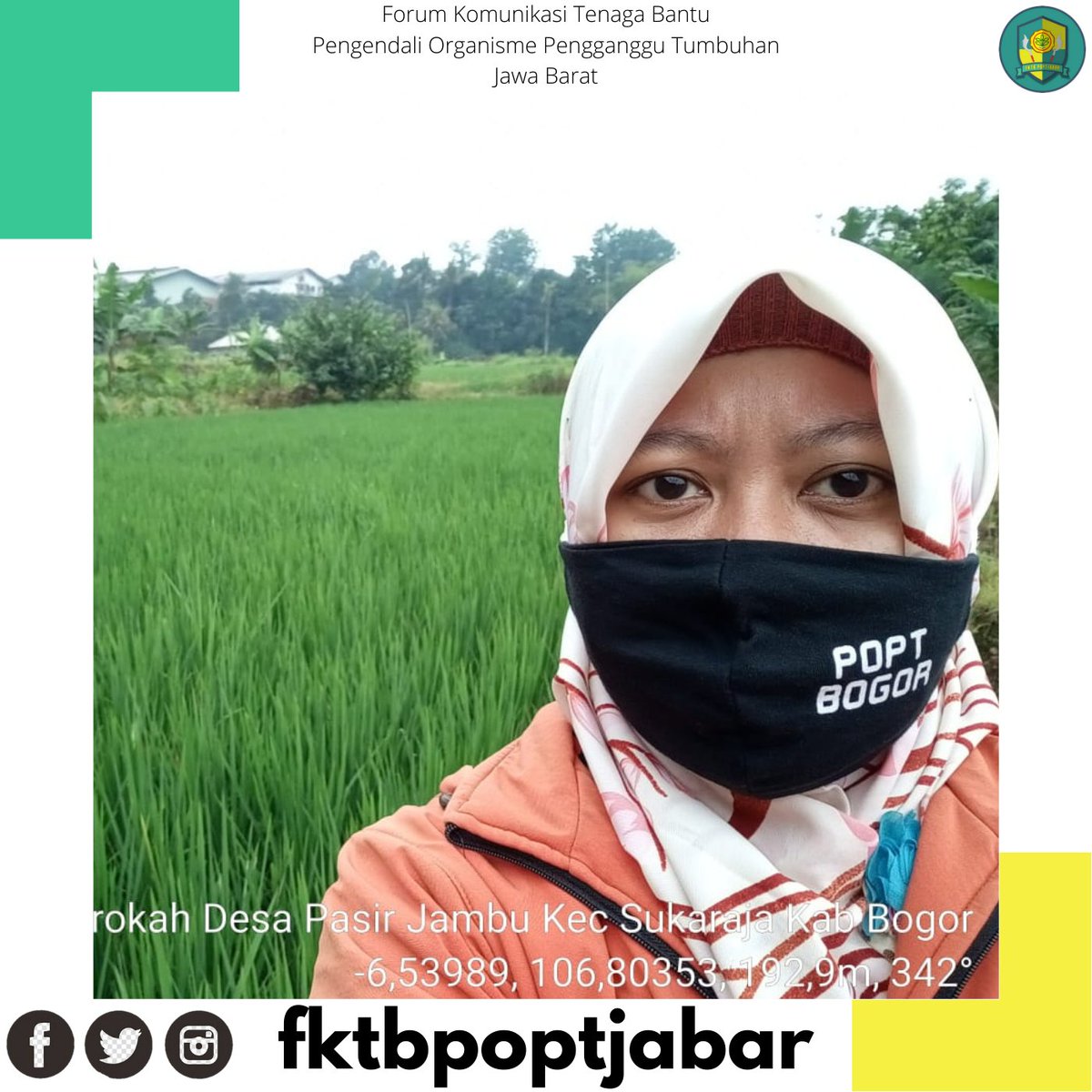 fktbpoptjabar's tweet photo. Monitoring perkembangan OPT Padi di lahan Kelompok Tani Barokah Desa Pasir Jambu oleh #POPT Kec #Sukaraja Kab #Bogor satuan pelayanan @BptphJ wilayah 1 ππΎ
π· Kartika Dewi
#bptphjabar
#SalamPHT
#JabarJuara
#KawalSampaiPanen https://t.co/aJuJOlqYZs