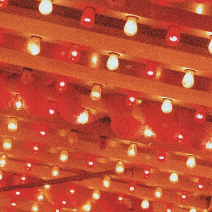 The reality of ARFID - A thread