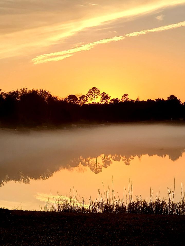 *** a Supply, NC sunset ***
❤️❤️❤️❤️❤️❤️❤️❤️❤️❤️
📸 : Shirley Koons via See It, Snap It, Send It 

Submit your photos here: buff.ly/38qhCMI