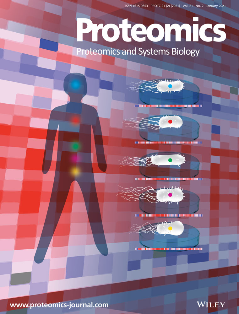 Magnetic particles as Powerful Purification Tool for High Sensitive Mass Spectrometric Screening Procedures dlvr.it/RssH9q #WileyProteomics #MassSpecPub