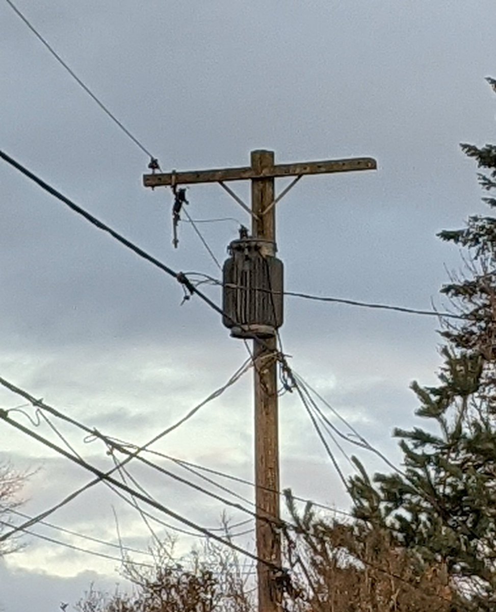 Sandi Vincent tweet media