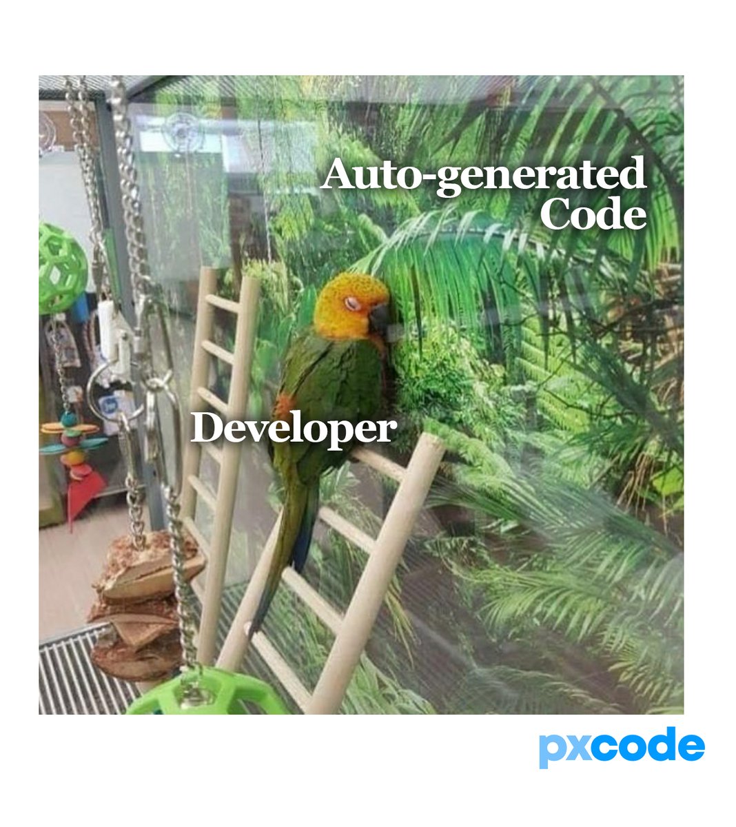 px_code's tweet image. ▍Auto-generate code can be as good as self-written. 
Besides of saving your time, we give you the fastest and well-structured 🤯🎯 → pxcode.io
-
#pxCode #NoCode #ResponsiveWebpage #FrontEnd #DEVCommunity #programmingjoke