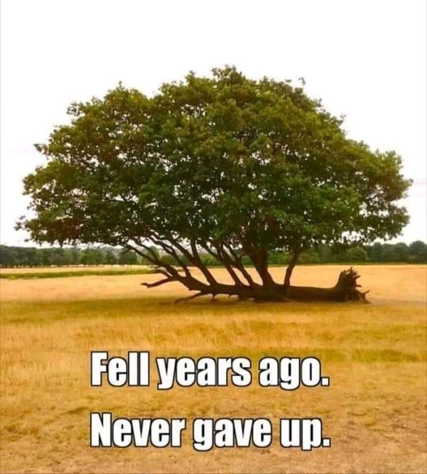 codenovation's tweet image. Be inspired always and never give up.

#lifeofacoder #tech #talentgap #womenintech #coding