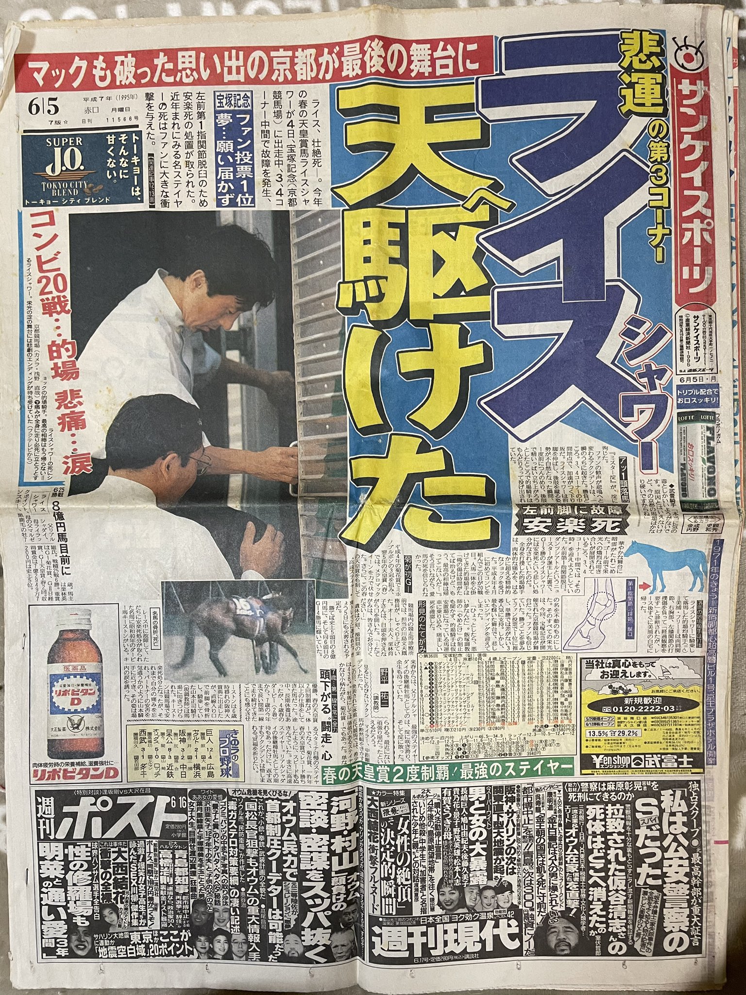 「殺処分ライスシャワー悲運の死」日刊スポーツ新聞1995(平成7)年6月5日 1995年6月5日 日刊スポーツ ライスシャワー悲劇の死 - メルカリ