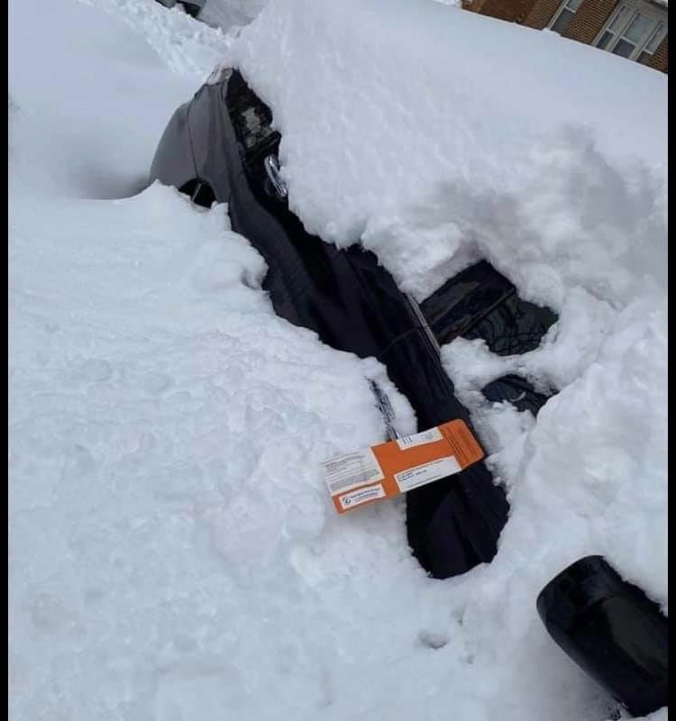 Lo 玲 Targos 🍉 tweet media