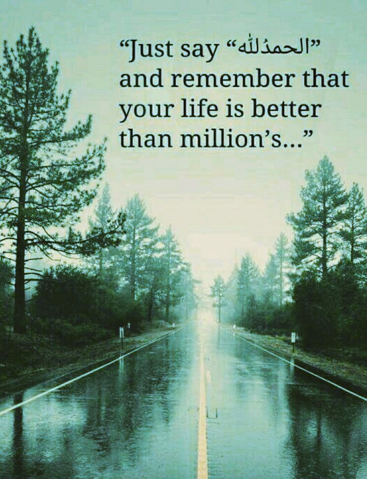 𝙕𝙖𝙖𝙧𝙖🦋 tweet media