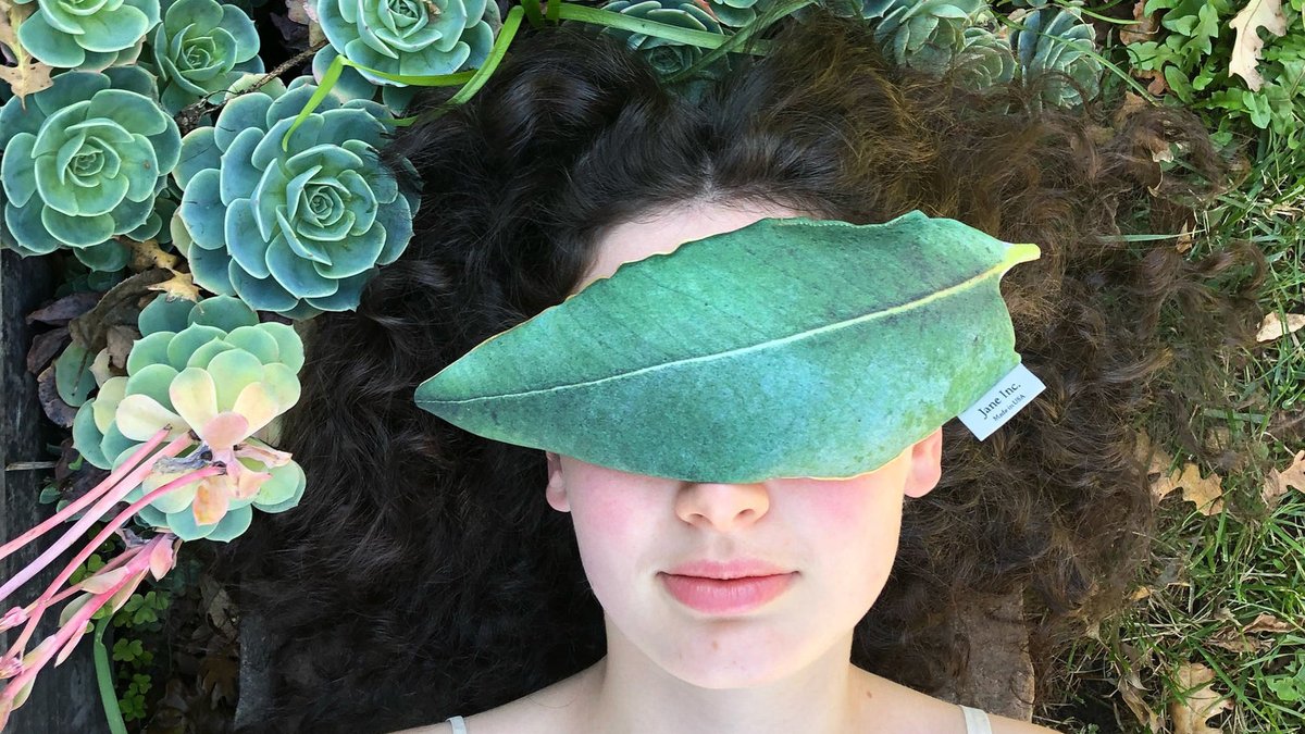 A eucalyptus eye pillow that actually looks like the real deal? Sign us up 🌿 etsy.me/3pqaYP1