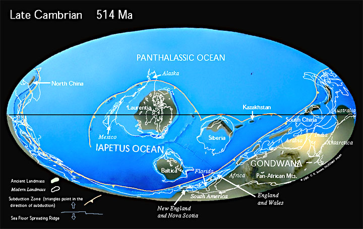 Periode ini merupakan periode pertama era Paleozoikum dari eon Fanerozoikum. Nama "Kambrium" berasal dari Cambria, nama klasik untuk Wales, wilayah asal batuan dari periode ini pertama kali dipelajari.