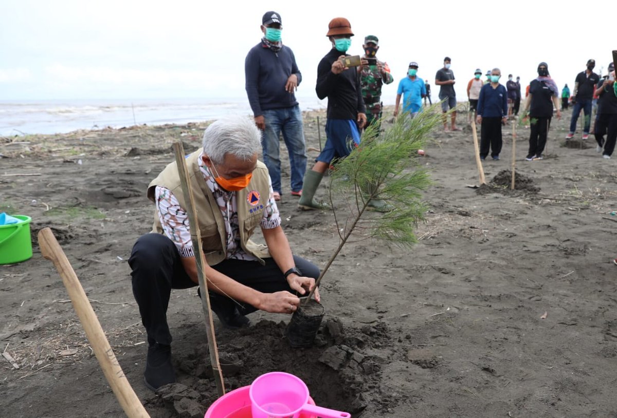 RadioElshinta's tweet image. Gubernur Jateng @ganjarpranowo melakukan penanaman bibit pohon cemara laut bersama masyarakat di Pantai Jungsemi, Kendal, Rabu (17/2). (Humas Pemprov Jateng)