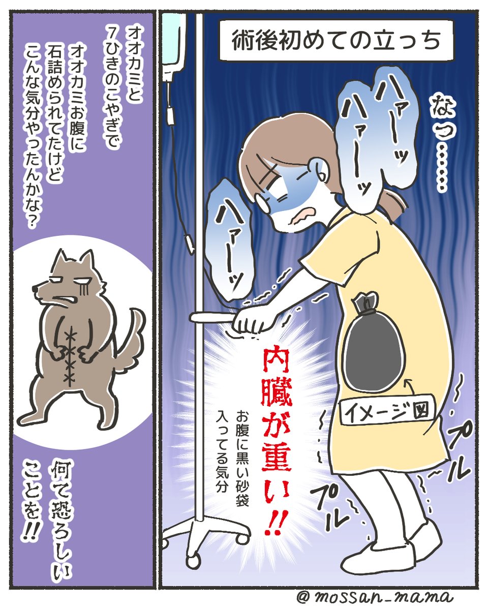 出産レポ おまけ
これ描いててふと、赤ちゃんも立っちするとき内臓の重みに耐えているのかな?と思ってしまいました?
(おなかぽんぽこりんですからねぇ)
#出産レポ #正直出産ってどうだったか教えて #帝王切開レポ