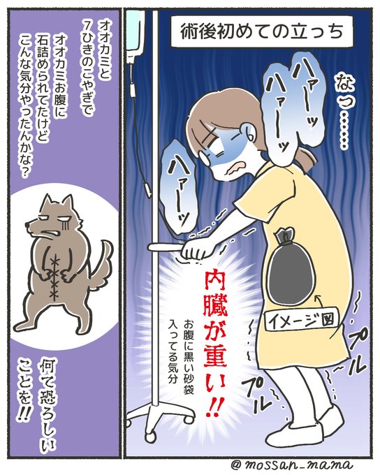 出産レポ おまけ
これ描いててふと、赤ちゃんも立っちするとき内臓の重みに耐えているのかな?と思ってしまいました?
(おなかぽんぽこりんですからねぇ)

#出産レポ #正直出産ってどうだったか教えて #帝王切開レポ 