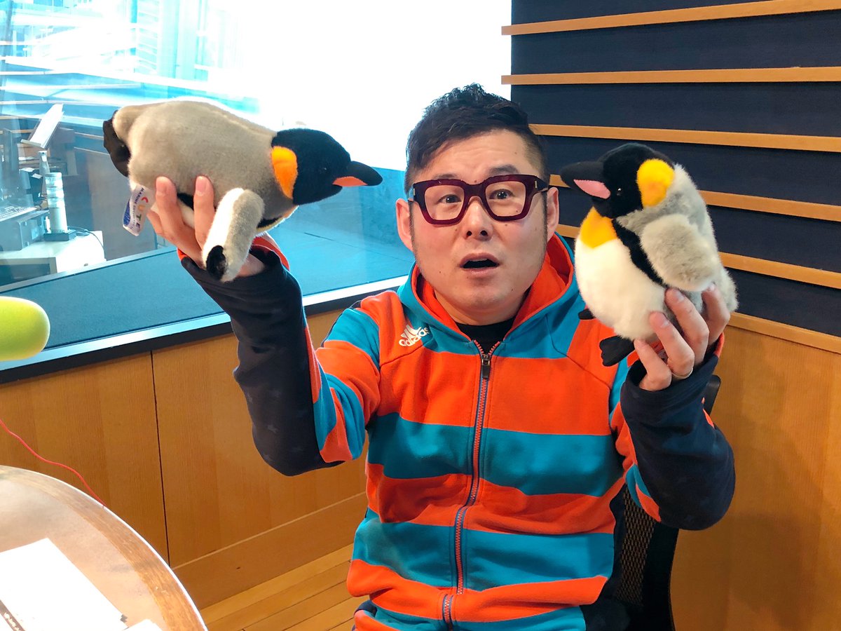 Love Flap 2 17 水 Zoom In Kansai 実は Yukadd ちゃんのお友だちがスタジオに応援に来てくれてたんです ペン太とギン太です おじさんじゃなくて ご本人のたわむれてる様子はぜひ Yukadd Official を見てくださいね Fm大阪