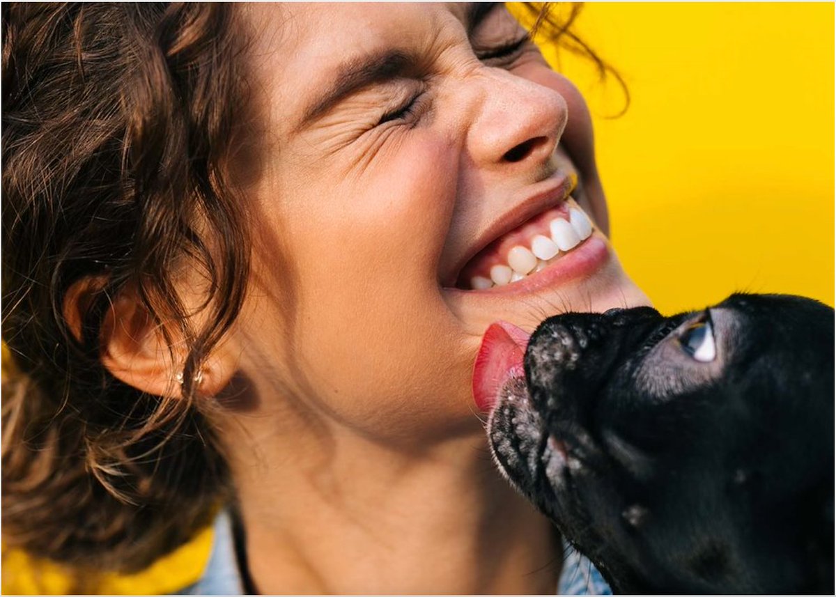 Hard Rock Hotels lanza su programa para mascotas, Unleashed, patitas y garritas bienvenidas. 🐾 bit.ly/36fe9m6