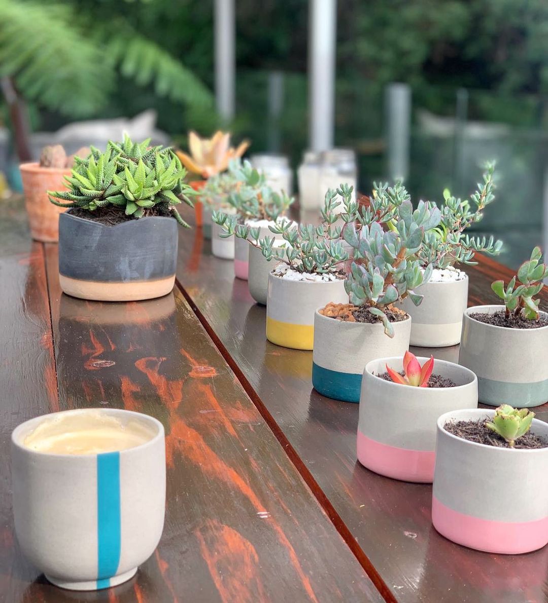 WSFoundry's tweet image. Beautiful tumblers by @ash_ceramics - perfect for coffee, succulents or a small gift. ☕🌿💝
Check out her studio at #thewoodstockfoundry for more!
.
📷 : @marvelscapes 
.
.
#capetownceramics
#popofcolour
#localdesign