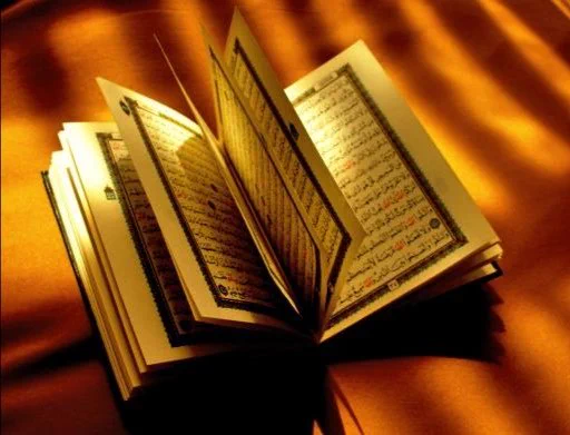 Image from MOHAMMED ELJACK (@MoELJACK)