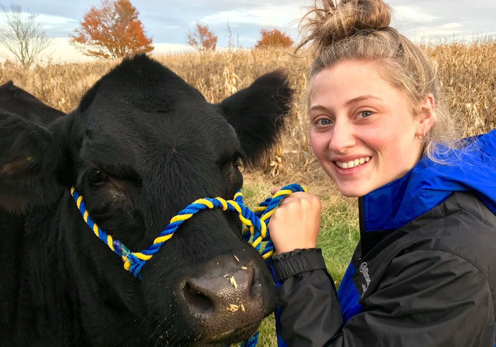 CanCattlemen's tweet photo. Purely Purebred, news from the Canadian Limousin Association: Bianca Byers of Blackstock, Ont. is the 2020 Australia Exchange Opportunity recipient. https://t.co/I9dAk6wNsy https://t.co/PkdagNhYIk