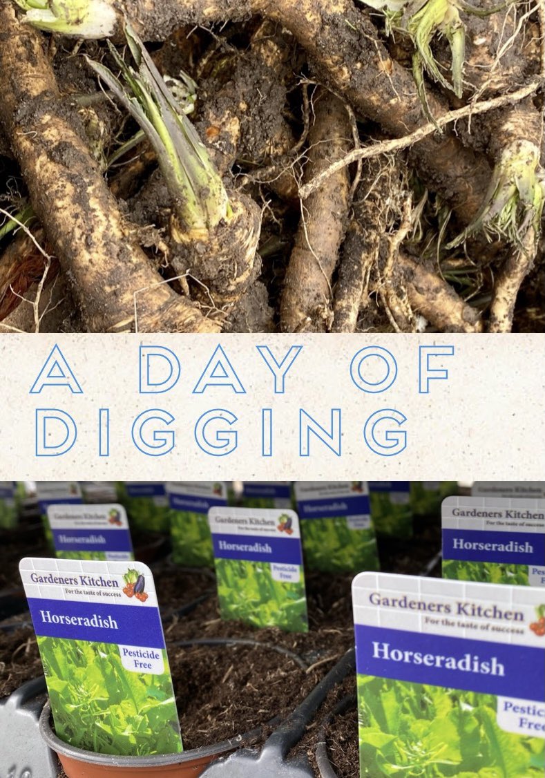 Gardeners Kitchen tweet media