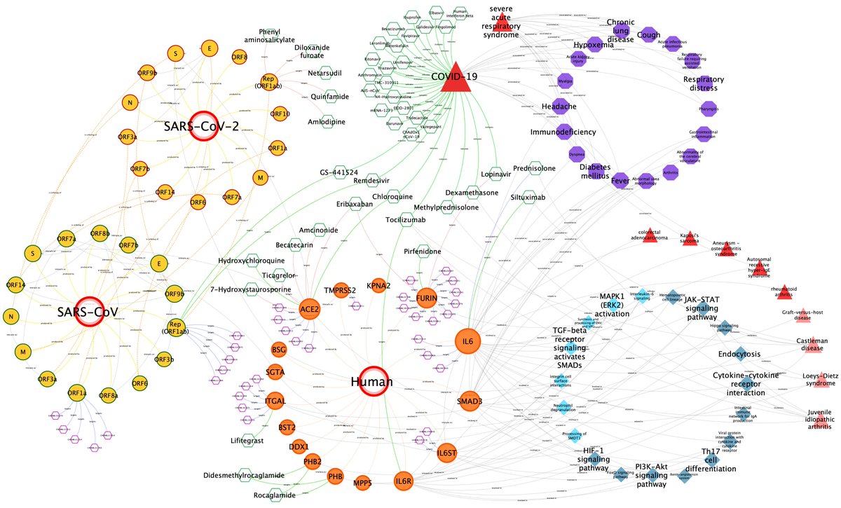 tuncadogan's tweet photo. CROssBAR #COVID19 Knowledge Graphs are now part of The European COVID19 Data Platform
https://t.co/4FADwRaEwa

Thanks to all @emblebi &amp; @ELIXIREurope who worked hard to construct this critical  #OpenAccess #SARSCoV2 centric resource

Direct link to graphs:
https://t.co/C3VQZ9dc0M https://t.co/7NnXQcr0jl