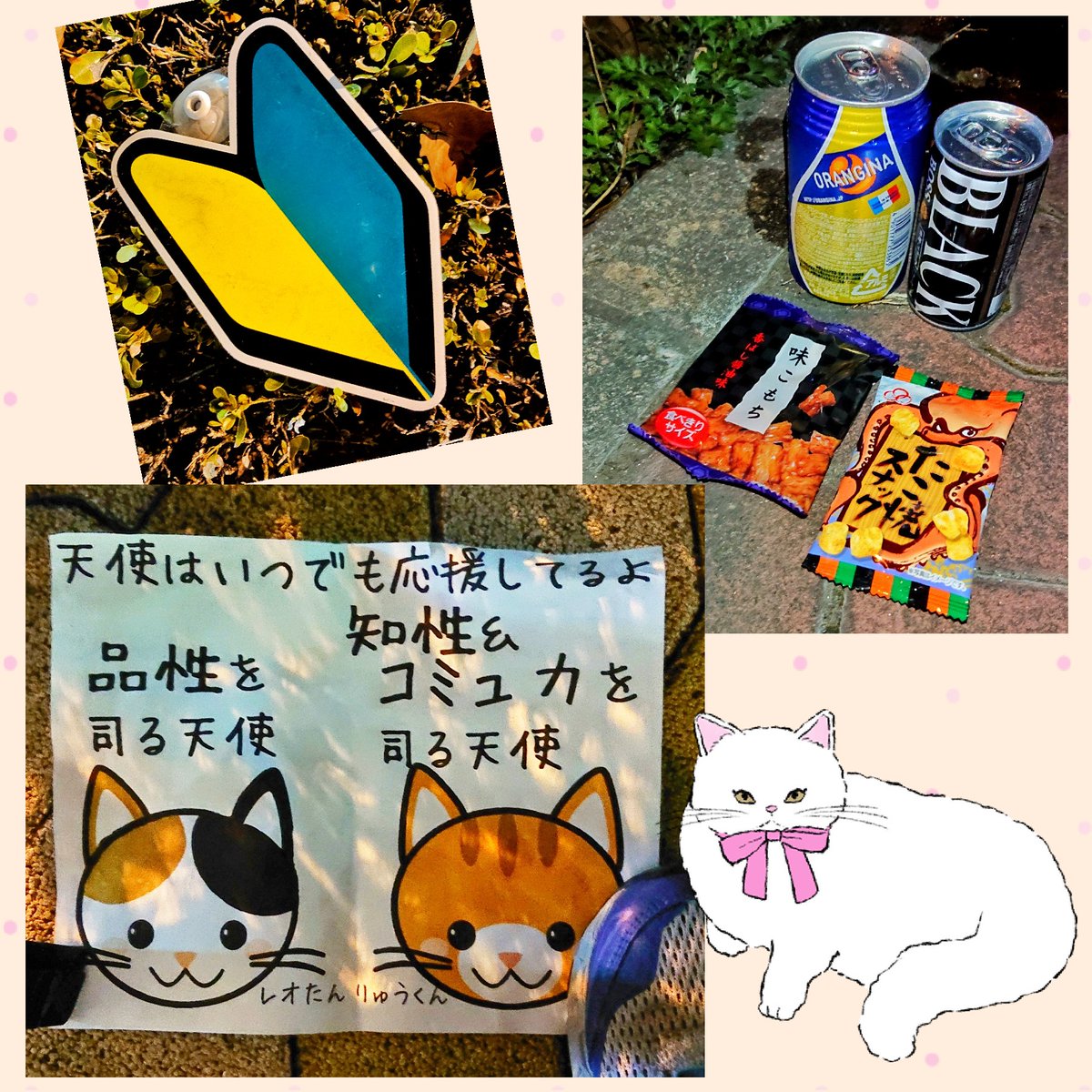 ターキー على تويتر お疲れ様でした ホンマに 捨てられてるマスクが増えてます 未使用と思われる 真っ直ぐな形のままのやつも多いですね 食料品のゴミも 横には開封すらしてないパン お菓子が並んでる事も 捨てる行為以前に 食べ物に対しての感謝の心すら