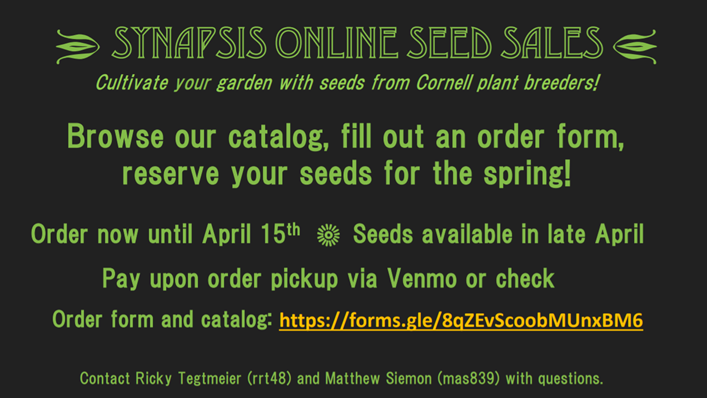 Cornell Synapsis tweet media